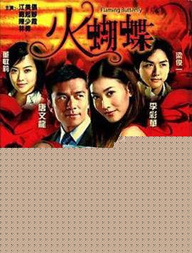 火蝴蝶2008