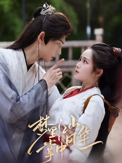 梦里江山掌中风华(全集)