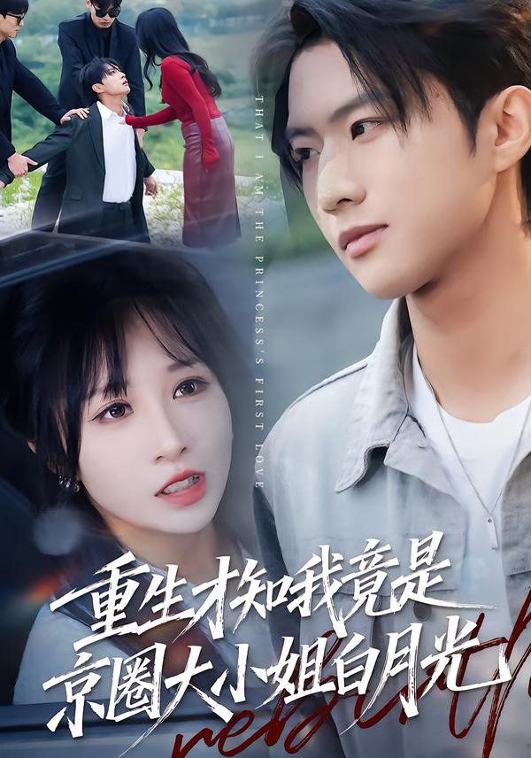 重生才知我竟是京圈大小姐白月光(全集)